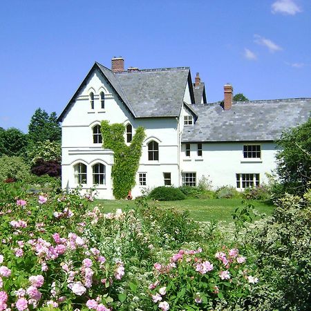 The Forest Country House B&B Newtown  Extérieur photo