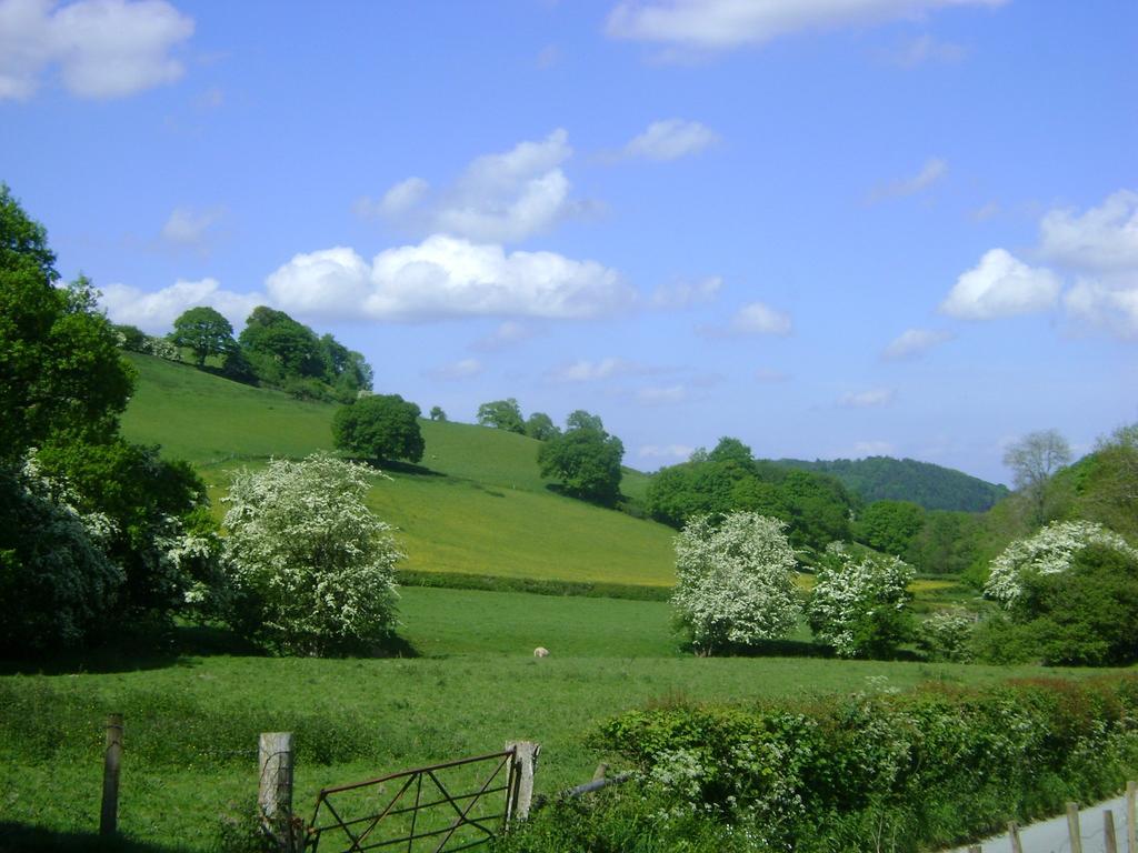 The Forest Country House B&B Newtown  Extérieur photo