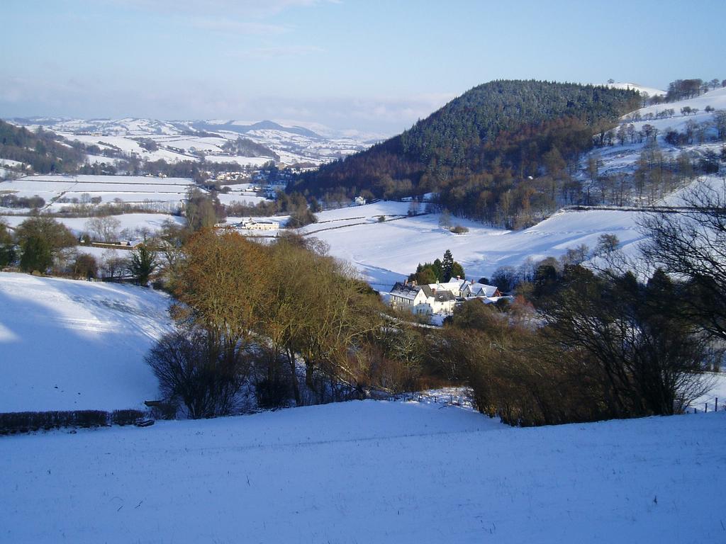 The Forest Country House B&B Newtown  Extérieur photo