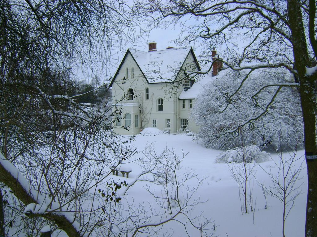 The Forest Country House B&B Newtown  Extérieur photo