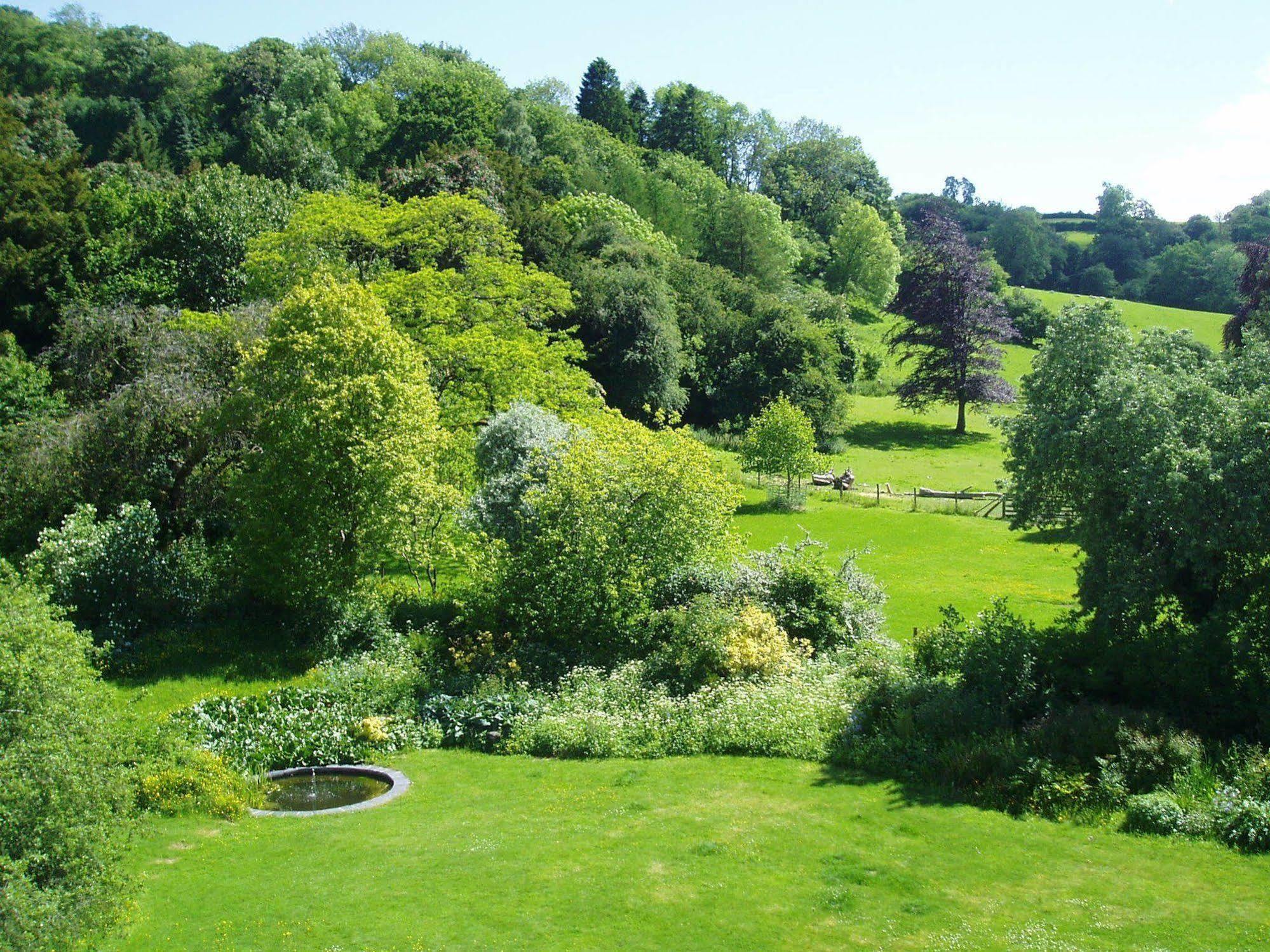 The Forest Country House B&B Newtown  Extérieur photo