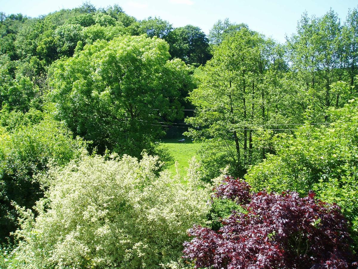 The Forest Country House B&B Newtown  Extérieur photo