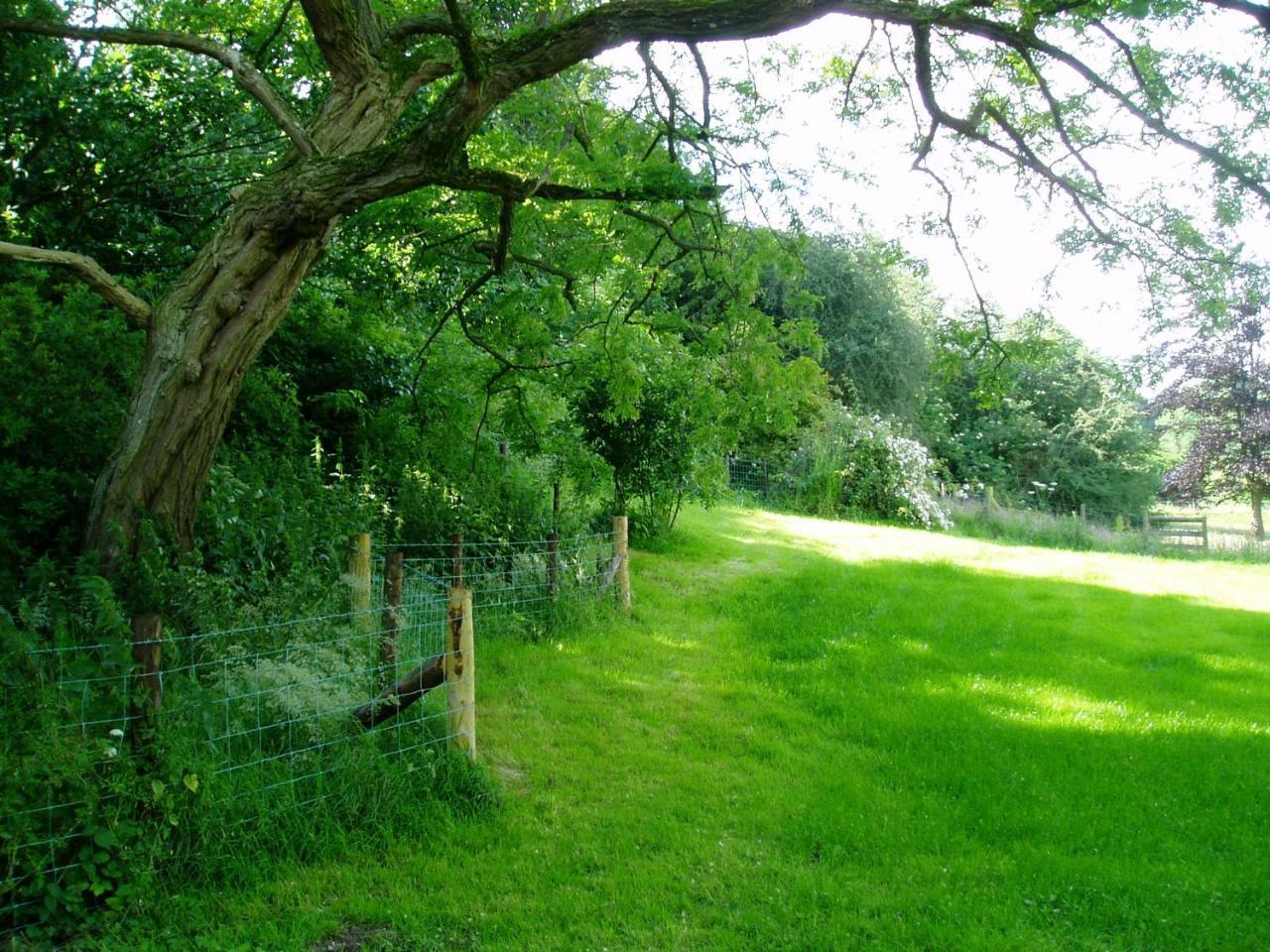 The Forest Country House B&B Newtown  Extérieur photo