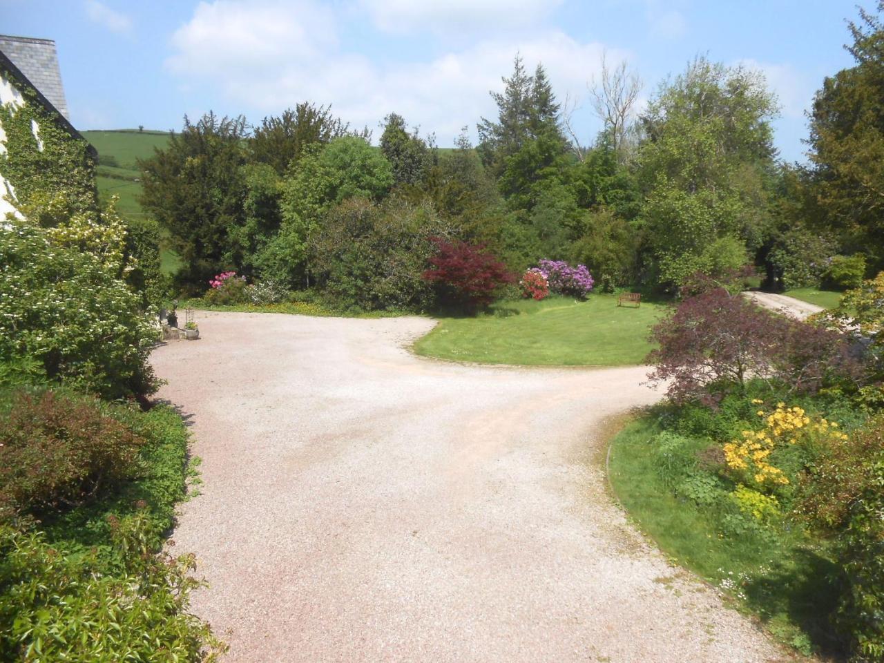 The Forest Country House B&B Newtown  Extérieur photo
